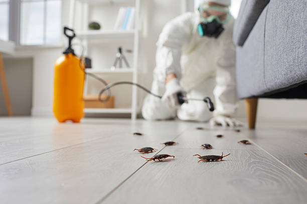 Commercial Kitchen Cockroach Control in Myrtle Grove